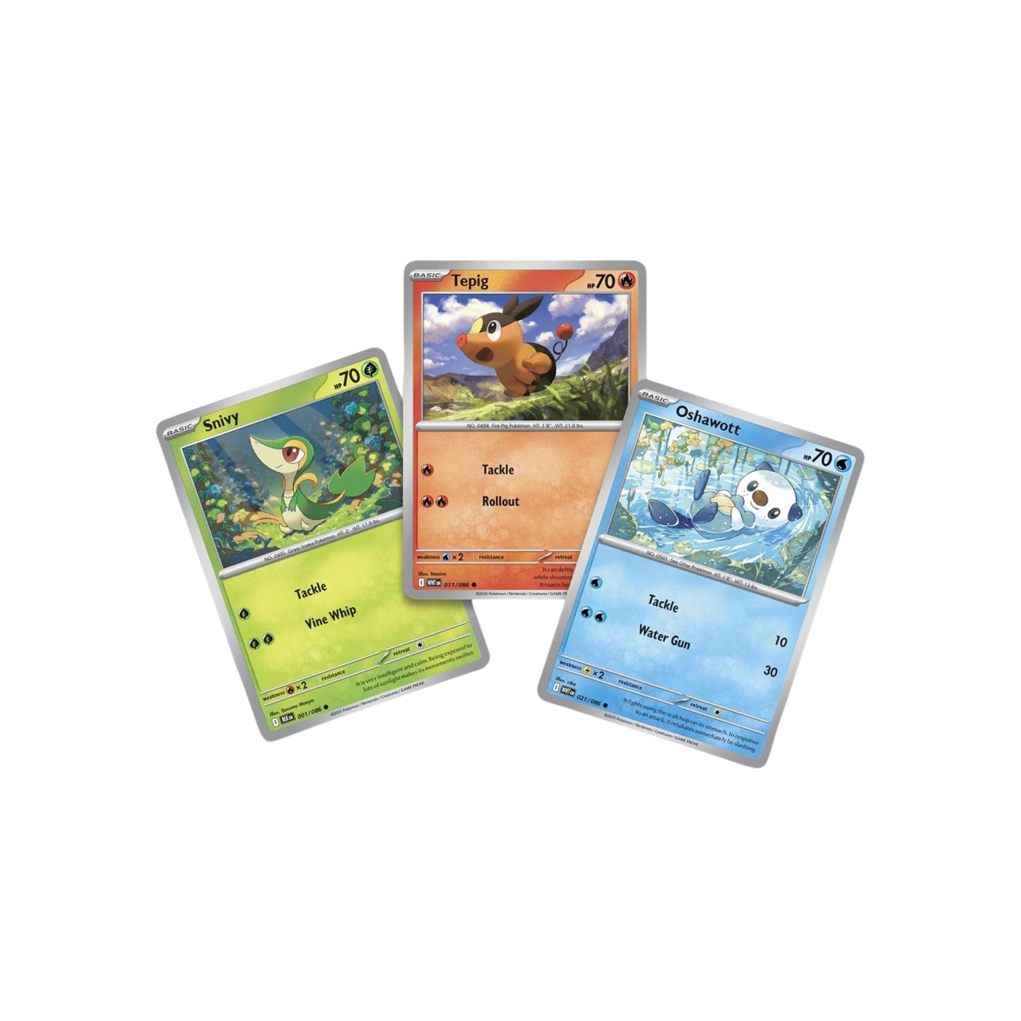 Pokémon - Poster Collection Black Bolt/White Flare